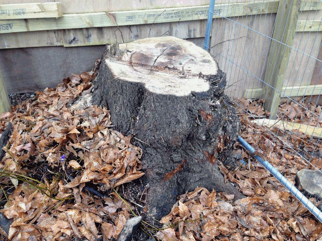 Tree Stump Close to Fence - Precision Removal Required, Skilled Operator Provided
